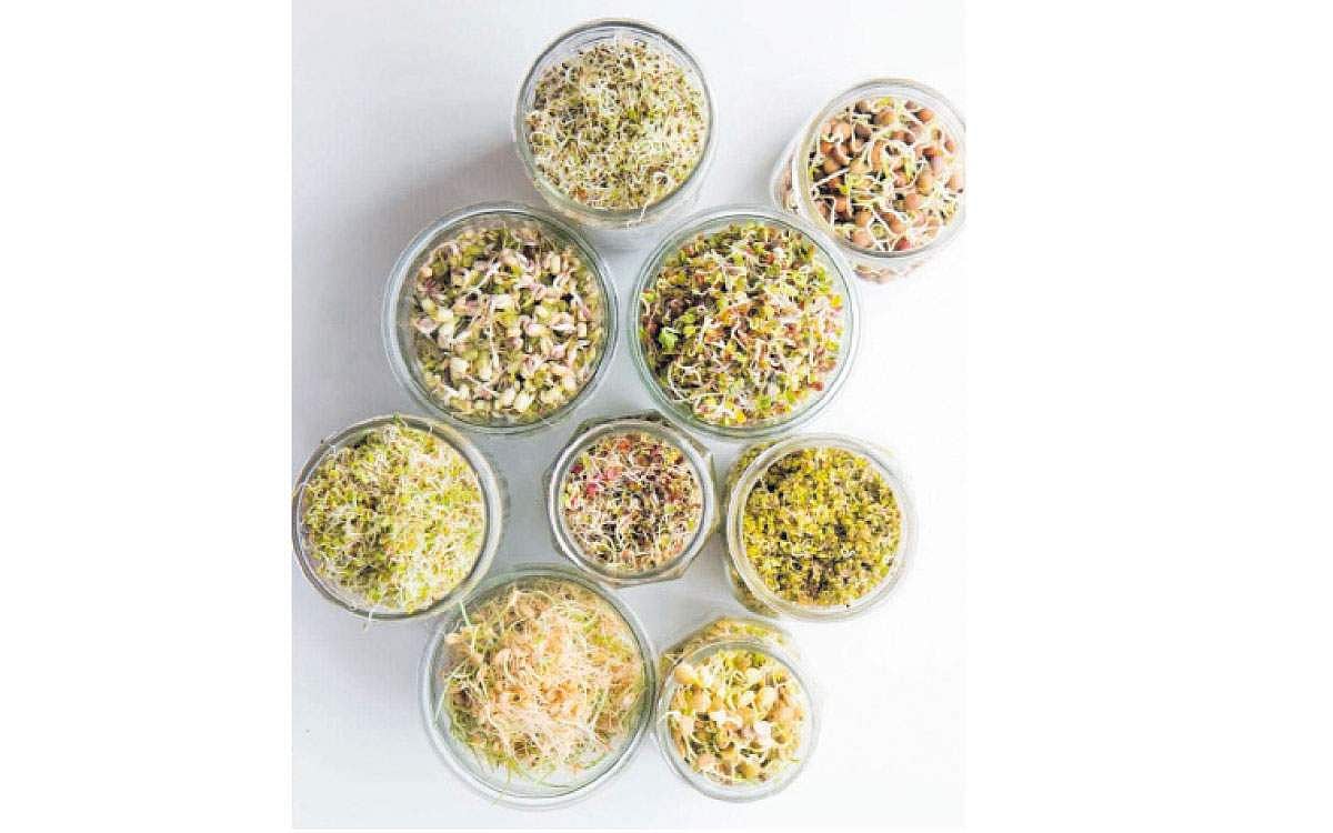 நோய்களை விரட்டும் முளைக்கட்டிய பயறு