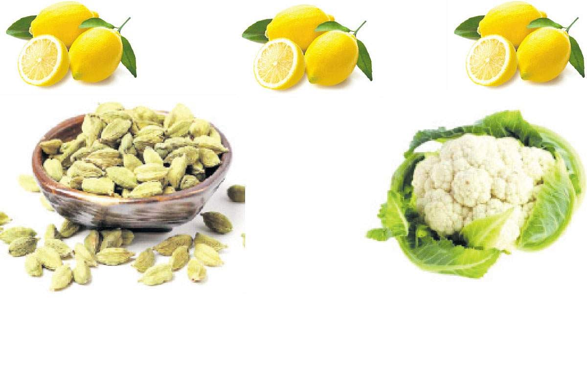 டிப்ஸ்.. டிப்ஸ்..