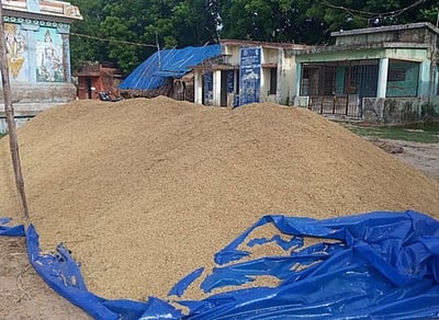 நெல்கொள்முதல் நிலையங்கள் திறக்க வலியுறுத்தல்