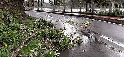 கொடைக்கானலில் தொடர்ந்து விடிய விடிய பலத்த காற்று, மின்தடை: இயல்பு வாழ்க்கை பாதிப்பு