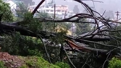 நீலகிரி மாவட்டத்தில் தொடர் கன மழை: இயல்பு வாழ்க்கை பாதிப்பு