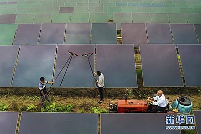 சீனாவில் வறுமை ஒழிப்புக்கு உதவியளிக்கும் தாமரை மலர்