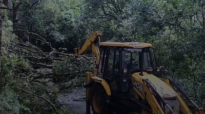 வளா்ச்சிப் பணிகளுக்காக 10 ஆண்டுகளில் 1,700 சதுர கி.மீ. வனப்பரப்பு இழப்பு