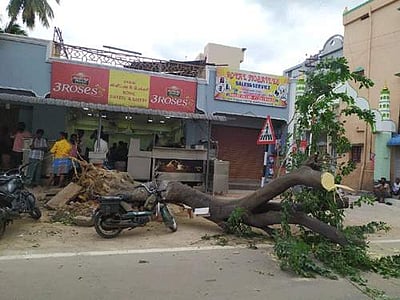 போடியில் பலத்த சூறைக்காற்றால் வீடுகள், மின்கம்பங்கள் சேதம்: தொடர் மின்வெட்டால் பொதுமக்கள் அவதி
