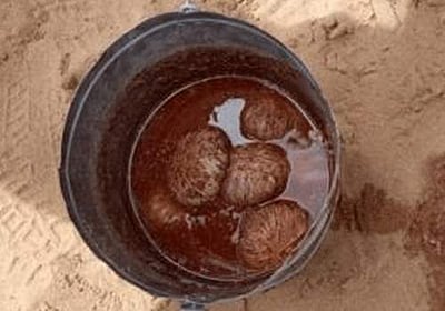 30 நாட்டு வெடிகுண்டுகள் பறிமுதல்:2 விவசாயிகள் கைது