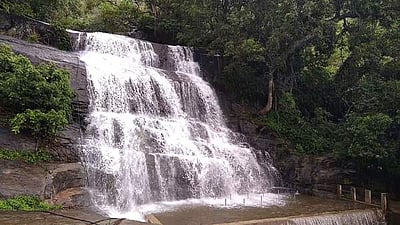 மேகமலை வனப்பகுதியில் கனமழை: சின்னசுருளி அருவியில் நீர்வரத்து அதிகரிப்பு