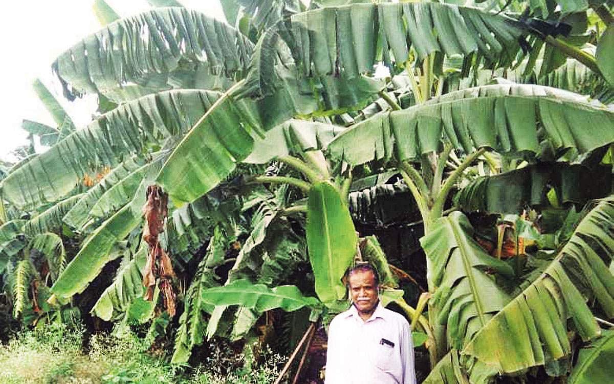 பள்ளியில் விவசாயப் புரட்சி!