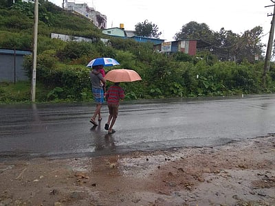 கொடைக்கானலில் மிதமான மழை