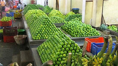 கோயம்பேடு பழச்சந்தையை திறப்பது குறித்து ஒரு வாரத்தில் முடிவெடுக்க வேண்டும்: உயர்நீதிமன்றம்