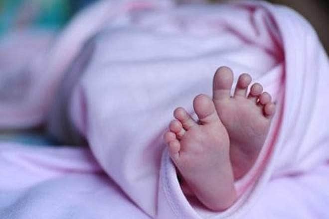 Newborn baby mauled by stray dogs in UP  