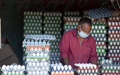 நாமக்கல் மண்டலத்தில் முட்டை விலை மேலும் 20 காசுகள் உயர்ந்து ரூ.4.90-ஆக நிர்ணயம்