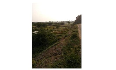 தூர்வாரப்படாத பாளையம்பட்டி மாங்குளம் கண்மாய்