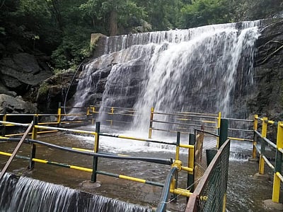 தொடர் மழை: சுருளி அருவி பகுதியில் நீர் வரத்து அதிகரிப்பு