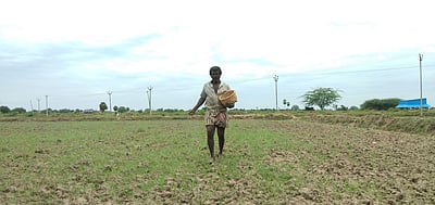 திருவாடானை பகுதியில் நெல் விதைப்புப் பணிகள் தீவிரம்