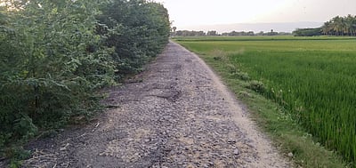 குண்டும், குழியுமான சாலையால் மக்கள் அவதி