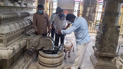 திண்டுக்கல் அபிராமி அம்மன் கோயிலில் வெடிகுண்டு சோதனை