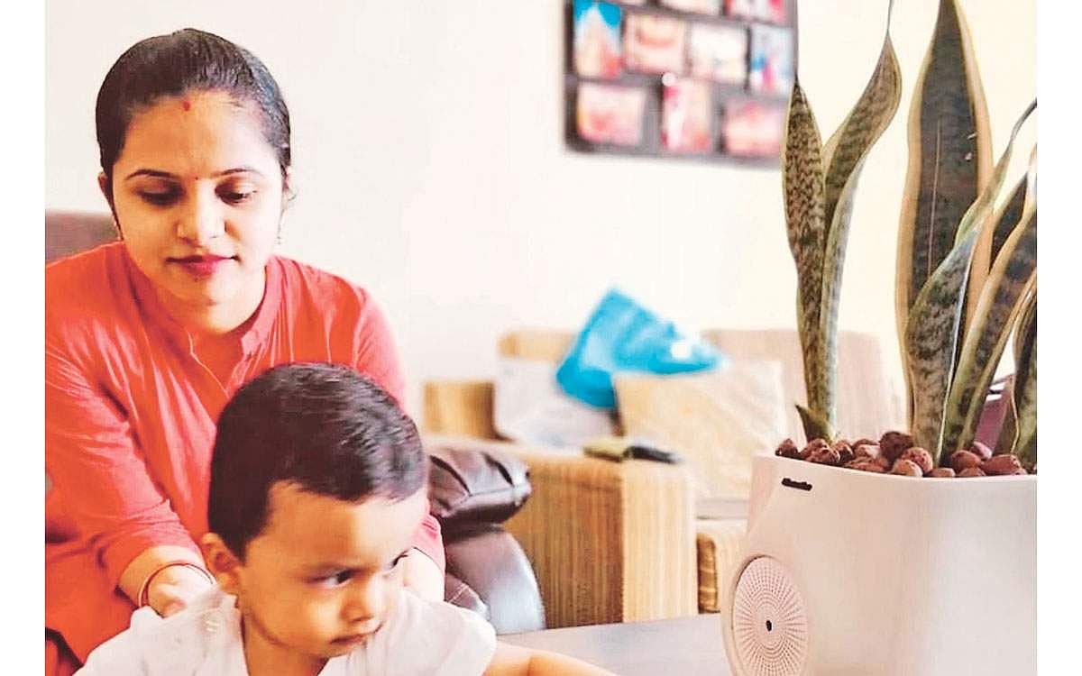 காற்றைத் தூய்மையாக்கும் செடிக் கருவி!