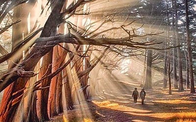 இணைய வெளியினிலே...