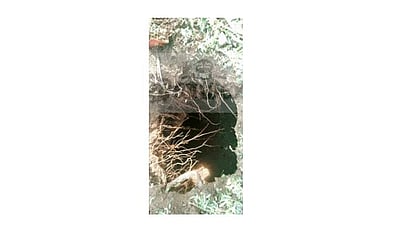 மணப்பாறை அருகே ஏற்பட்ட திடீர் பள்ளம்: கிராம் மக்கள் அதிர்ச்சி