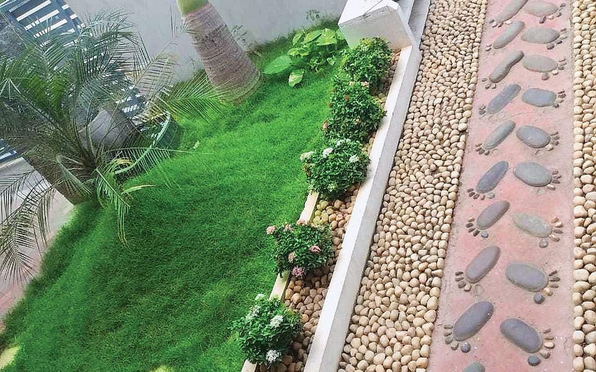 கரோனா காலத்திலும்... தோட்டக்கலைக்கு நல்ல வாய்ப்புகள்!