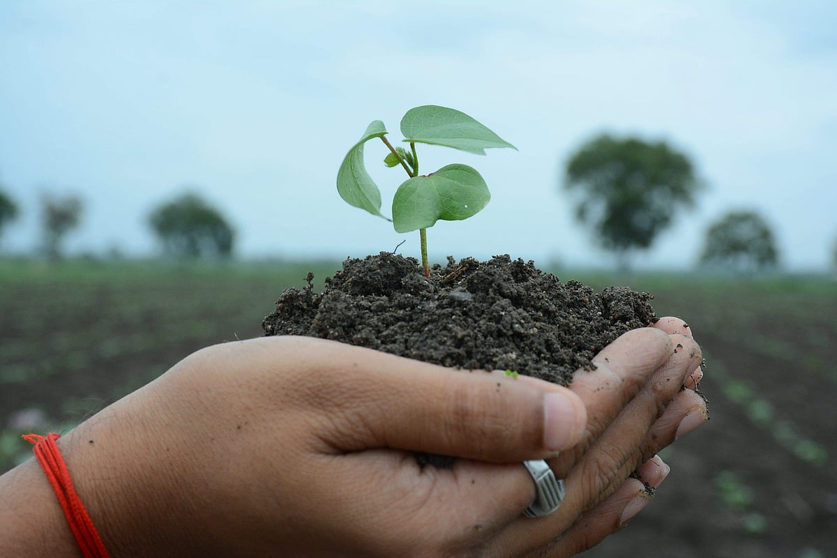தன்னம்பிக்கையுடன் எதிர்கொண்டால் நலம் பெறலாம்: மார்பகப் புற்றுநோயிலிருந்து மீண்டவர்கள்