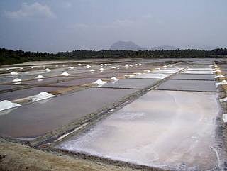 ஏற்றுமதியில் புகழ்பெற்ற குமரி உப்பு