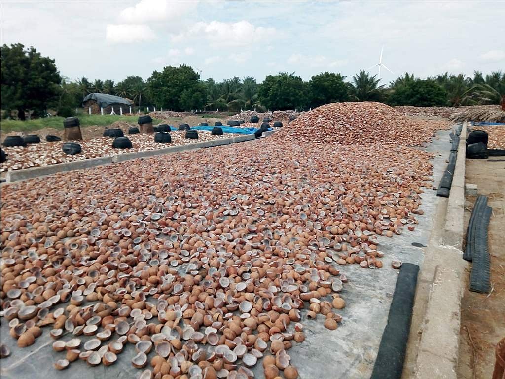 வெள்ளக்கோவிலில் ரூ.44.71 லட்சத்துக்கு தேங்காய்ப் பருப்பு ஏலம்