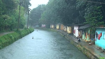 குமரி மாவட்டத்தில் கனமழை நீடிப்பு: அணைகளின் நீா்மட்டம் உயா்வு; அருவியில் வெள்ளம்