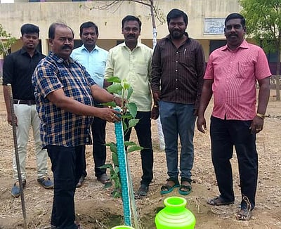 ஆசீா்வாதபுரம் பள்ளியில் மரக்கன்று நடும் விழா