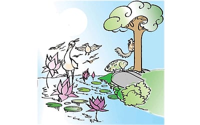 கெட்டிக்காரக் குட்டித் தவளை!