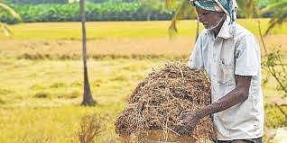 பஞ்சாப்: விவசாயிகளின் போராட்டத்திற்கிடையே நெல் கொள்முதல் தொடக்கம்