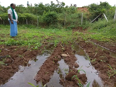 கூடலுார் ஒட்டான்குளத்தில் நீர்க்கசிவு