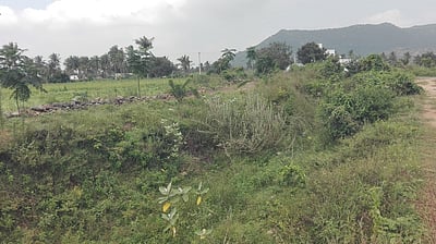 கால்வாயை தூய்மை செய்ய விவசாயிகள் கோரிக்கை