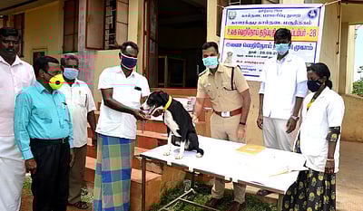 காரைக்குடியில் இலவச  வெறிநோய் தடுப்பூசி முகாம்