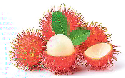 ரம்பூட்டான் பயன்கள்!