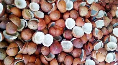 வெள்ளக்கோவிலில் ரூ.60 லட்சத்துக்கு தேங்காய் பருப்பு விற்பனை 