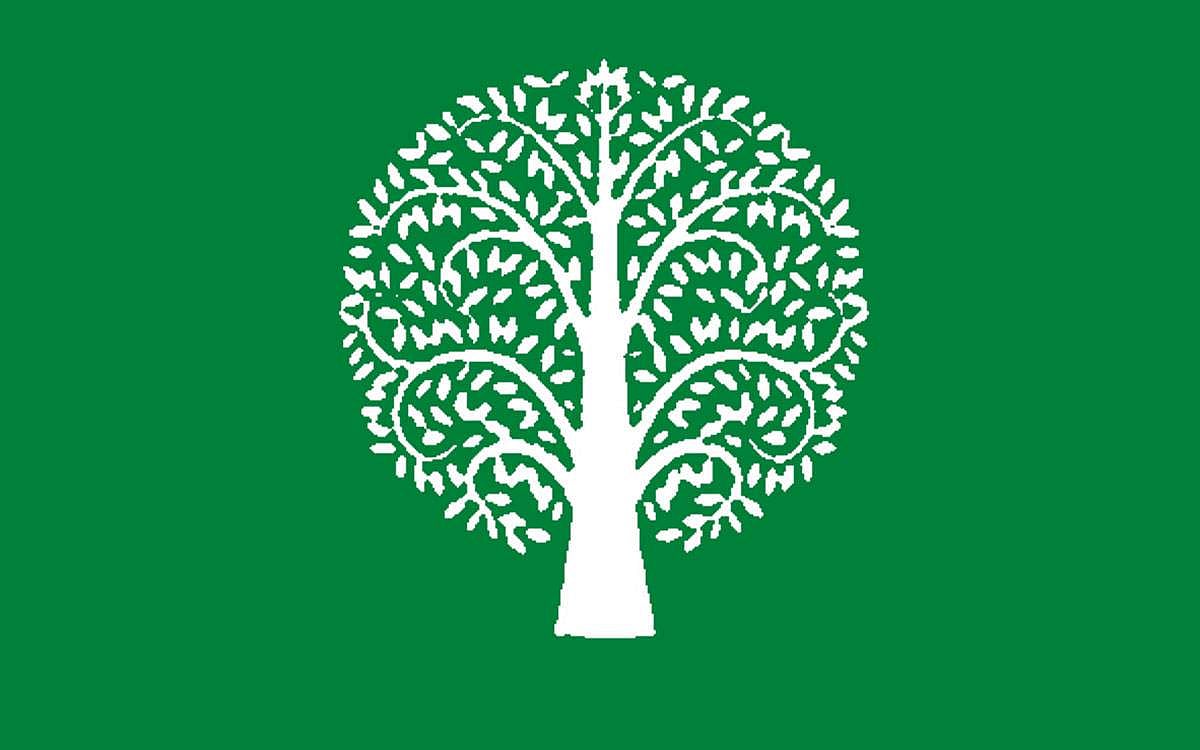 மரங்களின் வரங்கள்!: இயற்கை பிரசவம் - நஞ்சுள் மரம்