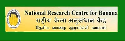 தேசிய வாழை ஆராய்ச்சி நிறுவனத்தில் வேலை