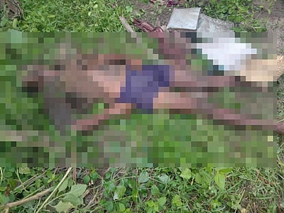 பள்ளிகொண்டா அருகே மின்வேலியில் சிக்கி வாலிபர் பலி