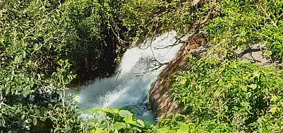 ஸ்ரீவில்லிபுத்தூரில் கனமழை: சதுரகிரி ஓடைகள், பாறைகளில் திடீர் வெள்ளப்பெருக்கு