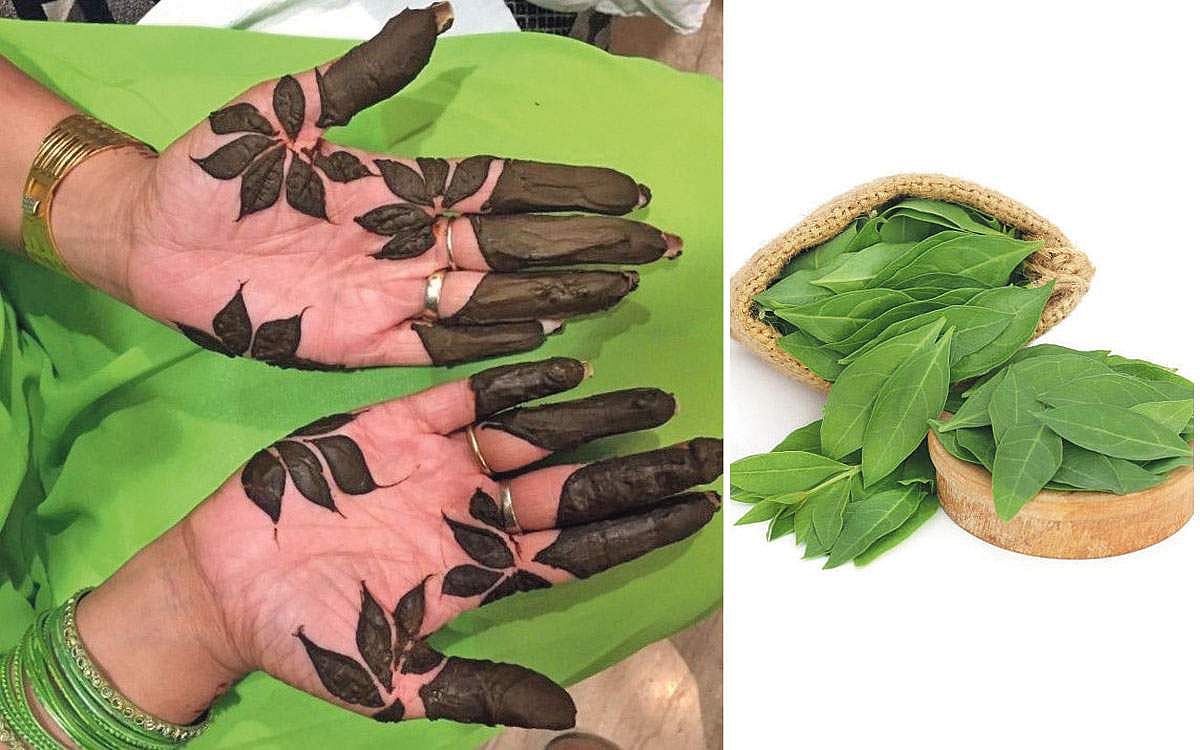 மருதாணியில் இத்தனை நன்மைகளா?