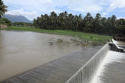 குமரி மாவட்டத்தில் கனமழை: ஆறுகளில் வெள்ளப்பெருக்கு