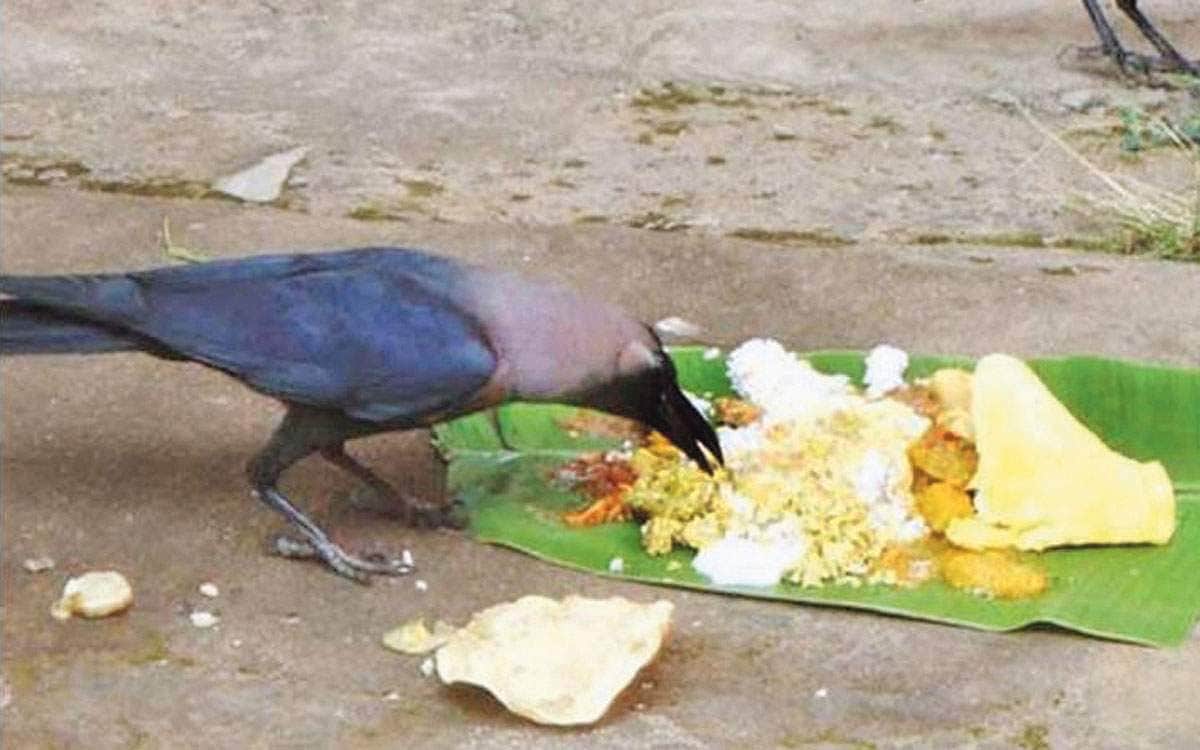 மகத்தான பலன் தரும் மஹாளயம்