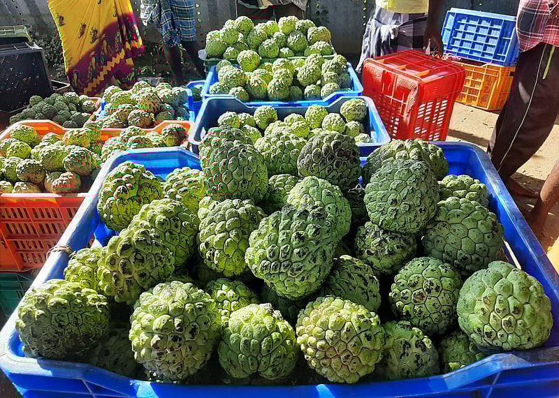 சீத்தாப் பழ விளைச்சல் அமோகம், விலை சரிவு: விவசாயிகள் ஏமாற்றம்!