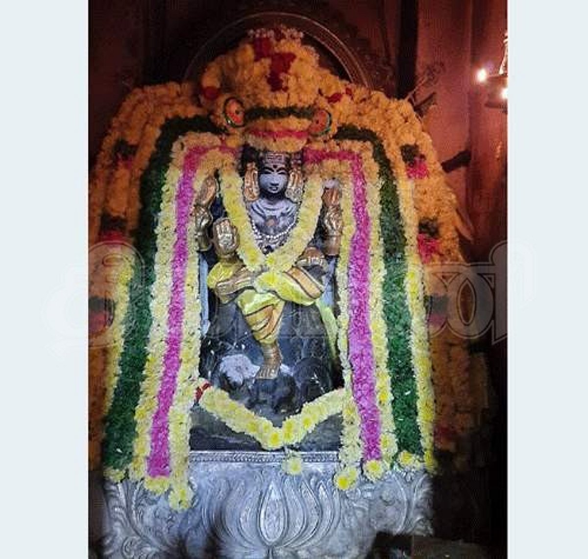 ஆலங்குடி ஆபத்சகாயேஸ்வரர் குருபரிகார கோவிலில் புத்தாண்டு சிறப்பு வழிபாடு