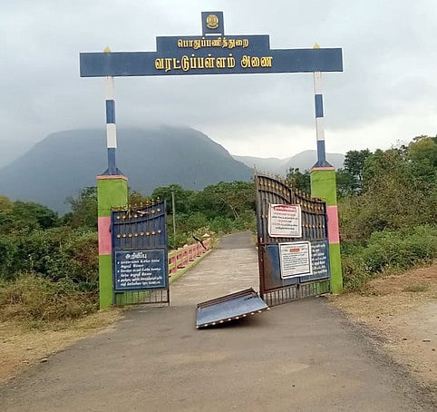 அந்தியூா் வறட்டுப்பள்ளம் அணை பகுதியில் காட்டு யானைகள் நடமாட்டம்