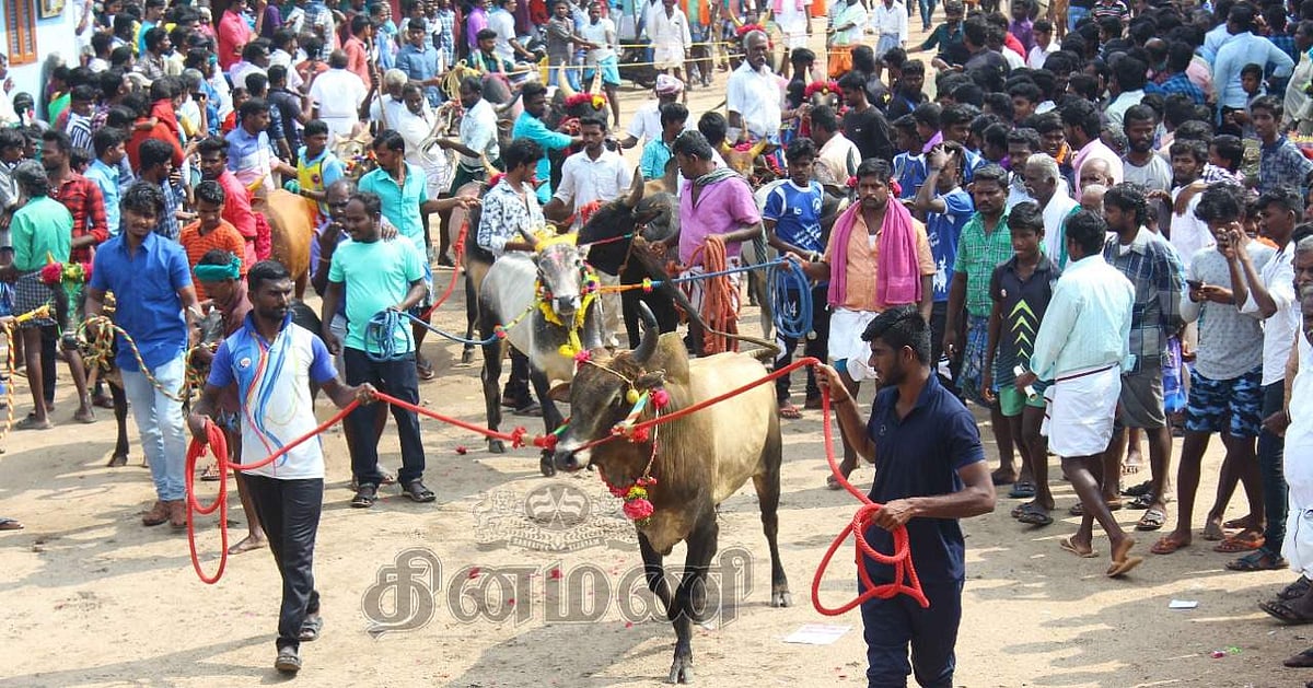 மணப்பாறை அடுத்த கருங்குளம் புனித இஞ்ஞாசியார் ஆலயத்தில் புத்தாண்டு சிறப்பு திருப்பலி