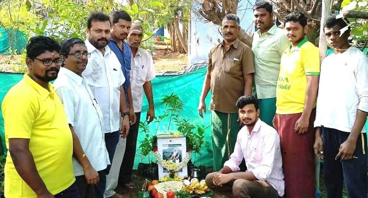 News image