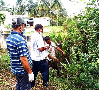 நட்டுவம்பாளையம் அரசுப் பள்ளியில் தேவையற்ற செடிகள், கொடிகள் அகற்றம் 