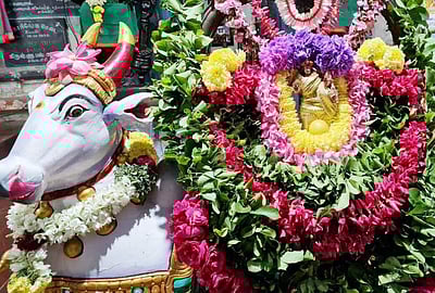 சங்ககிரி ஈஸ்வரன் கோயில்களில் பிரதோஷ சிறப்பு பூஜைகள்